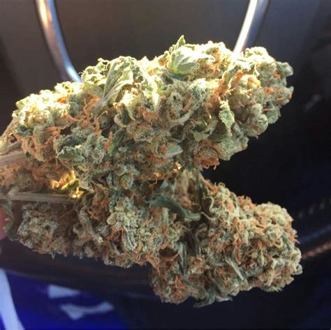 Blue Dream is generally well-tolerated, but some users report dry mouth and red eyes, as with other strains high in THC. . Magenta dream strain